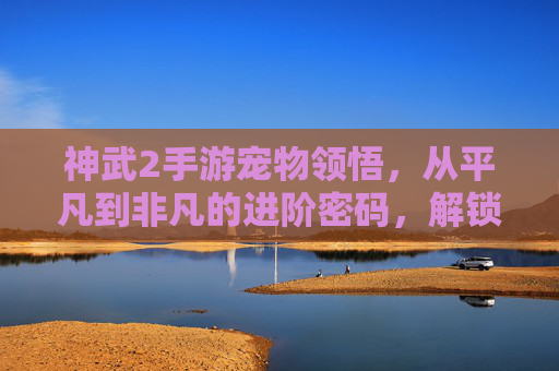 神武2手游宠物领悟，从平凡到非凡的进阶密码，解锁神宠隐藏潜能的实战指南，神武2手游宠物领悟，从平凡到非凡的进阶密码，解锁神宠隐藏潜能的实战指南