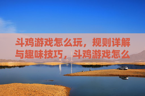 斗鸡游戏怎么玩,规则详解与趣味技巧,斗鸡游戏怎么玩,规则详解与趣味技巧