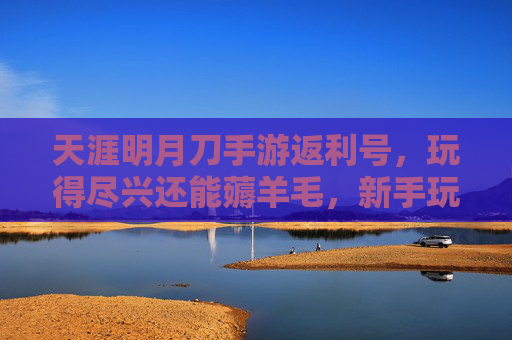 天涯明月刀手游返利号,玩得尽兴还能薅羊毛,新手玩家的省钱秘籍,天涯明月刀手游返利号,玩得尽兴还能薅羊毛,新手玩家的省钱秘籍