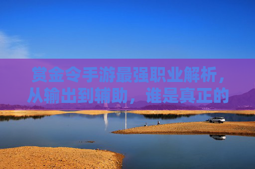 赏金令手游最强职业解析,从输出到辅助,谁是真正的战神与财富收割机?