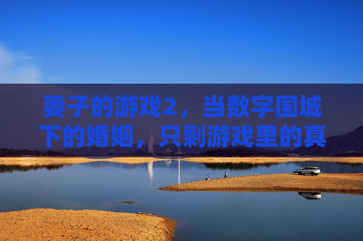 妻子的游戏2,当数字围城下的婚姻,只剩游戏里的真假难辨,妻子的游戏2,数字围城下的婚姻,真假难辨的游戏