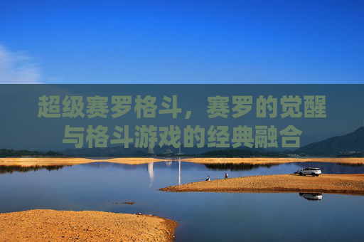 超级赛罗格斗，赛罗的觉醒与格斗游戏的经典融合