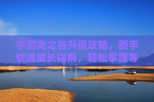 手游龙之谷升级攻略，新手快速成长指南，轻松掌握等级提升技巧