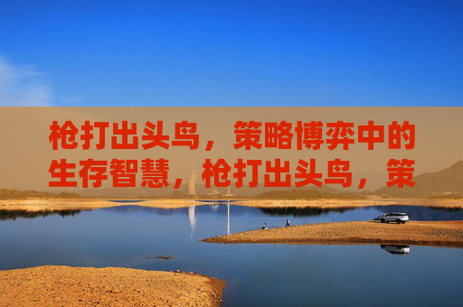 枪打出头鸟,策略博弈中的生存智慧,枪打出头鸟,策略博弈中的生存智慧