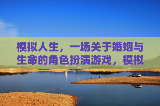模拟人生，一场关于婚姻与生命的角色扮演游戏，模拟人生，一场关于婚姻与生命的角色扮演游戏