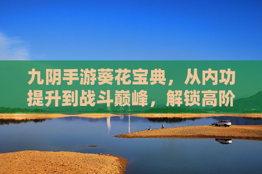 九阴手游葵花宝典，从内功提升到战斗巅峰，解锁高阶武功的秘密，九阴手游葵花宝典，从内功提升到战斗巅峰，解锁高阶武功的秘密