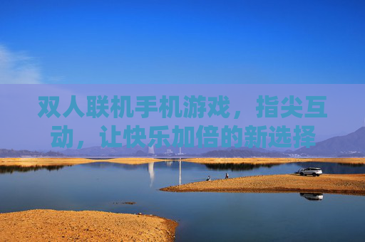 双人联机手机游戏,指尖互动,让快乐加倍的新选择
