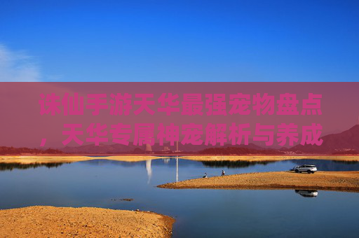 诛仙手游天华最强宠物盘点,天华专属神宠解析与养成攻略,诛仙手游天华最强宠物盘点,专属神宠解析与养成攻略