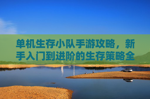 单机生存小队手游攻略，新手入门到进阶的生存策略全解析