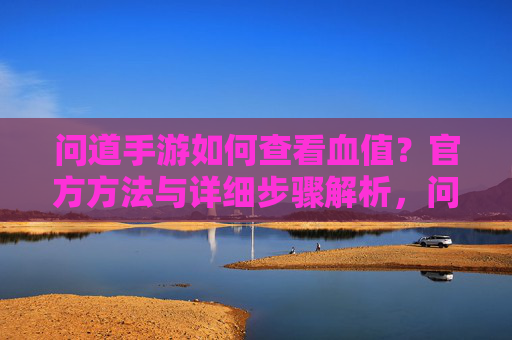 问道手游如何查看血值？官方方法与详细步骤解析，问道手游如何查看血值？官方方法与详细步骤解析