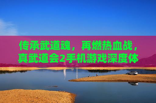 传承武道魂，再燃热血战，真武道会2手机游戏深度体验，传承武道魂 再燃热血战，真武道会2手机游戏深度体验