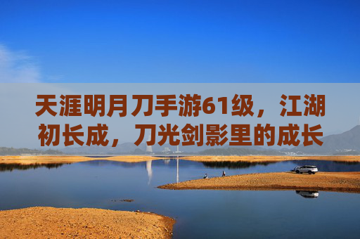 天涯明月刀手游61级，江湖初长成，刀光剑影里的成长印记，天涯明月刀手游61级，江湖初长成，刀光剑影里的成长印记