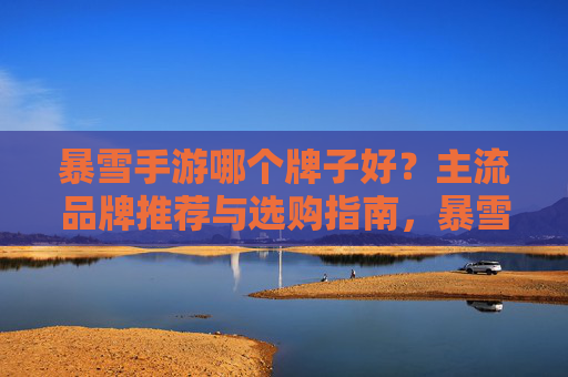 暴雪手游哪个牌子好？主流品牌推荐与选购指南，暴雪手游哪个牌子好？主流品牌推荐与选购指南