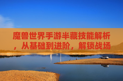 魔兽世界手游半藏技能解析,从基础到进阶,解锁战场新玩法,魔兽世界手游半藏技能解析,从基础到进阶,解锁战场新玩法