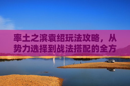 率土之滨袁绍玩法攻略,从势力选择到战法搭配的全方位解析,率土之滨袁绍玩法攻略,从势力选择到战法搭配的全方位解析