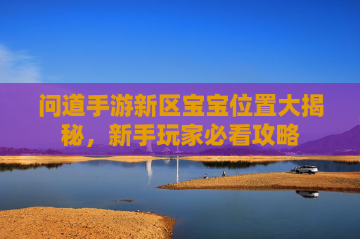 问道手游新区宝宝位置大揭秘,新手玩家必看攻略