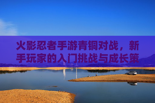 火影忍者手游青铜对战,新手玩家的入门挑战与成长策略,火影忍者手游青铜对战,新手玩家的入门挑战与成长策略