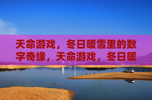 天命游戏，冬日暖雪里的数字奇缘，天命游戏，冬日暖雪里的数字奇缘