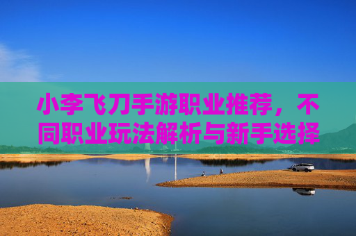 小李飞刀手游职业推荐，不同职业玩法解析与新手选择指南