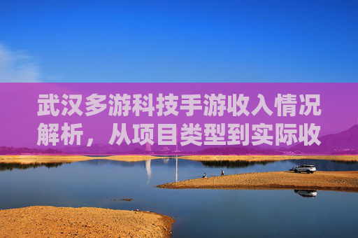 武汉多游科技手游收入情况解析,从项目类型到实际收益的深度洞察,武汉多游科技手游收入情况解析,从项目类型到实际收益的深度洞察