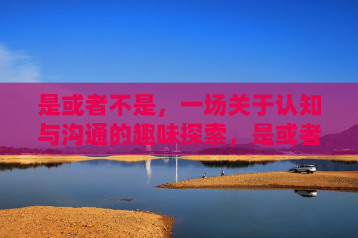 是或者不是，一场关于认知与沟通的趣味探索，是或者不是，一场关于认知与沟通的趣味探索