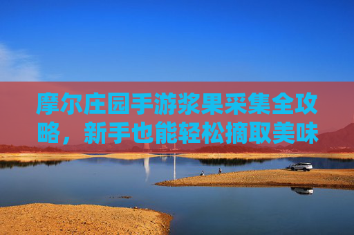 摩尔庄园手游浆果采集全攻略,新手也能轻松摘取美味浆果!摩尔庄园手游浆果采集全攻略,新手也能轻松摘取美味浆果!