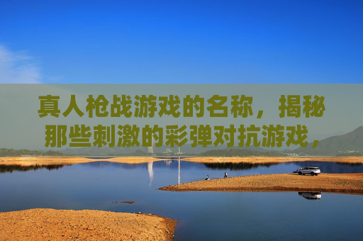 真人枪战游戏的名称,揭秘那些刺激的彩弹对抗游戏,真人枪战游戏名称揭秘,那些刺激彩弹对抗游戏