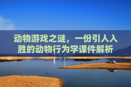 动物游戏之谜,一份引人入胜的动物行为学课件解析