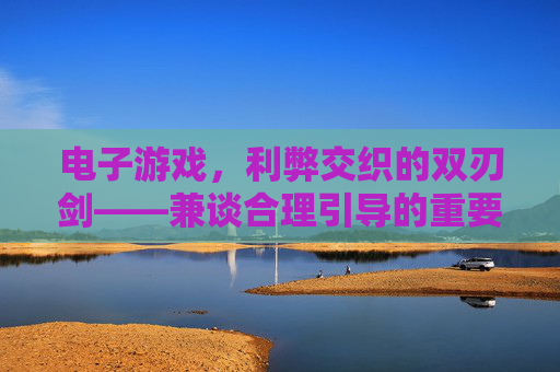 电子游戏,利弊交织的双刃剑——兼谈合理引导的重要性,电子游戏,利弊交织的双刃剑——兼谈合理引导的重要性