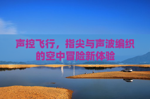 声控飞行，指尖与声波编织的空中冒险新体验