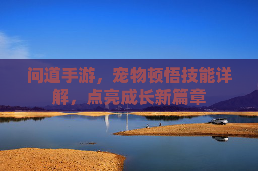 问道手游，宠物顿悟技能详解，点亮成长新篇章