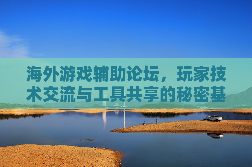 海外游戏辅助论坛,玩家技术交流与工具共享的秘密基地——技术、社区与游戏辅助的深度探索