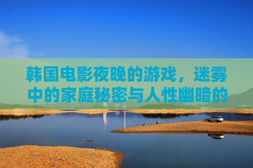 韩国电影夜晚的游戏,迷雾中的家庭秘密与人性幽暗的探索
