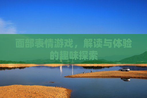 面部表情游戏，解读与体验的趣味探索