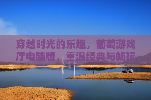 穿越时光的乐趣，葡萄游戏厅电脑版，重温经典与畅玩新体验，穿越时光的乐趣，葡萄游戏厅电脑版，重温经典与畅玩新体验