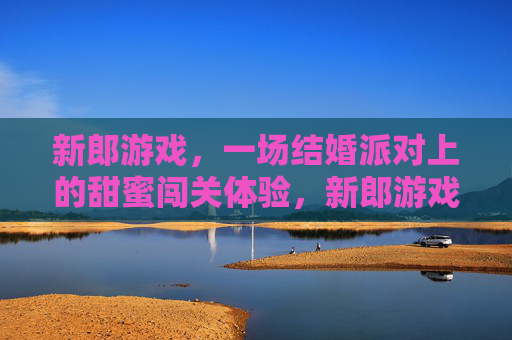 新郎游戏,一场结婚派对上的甜蜜闯关体验,新郎游戏,一场结婚派对的甜蜜闯关体验