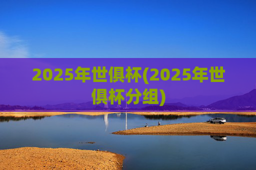 2025年世俱杯(2025年世俱杯分组)
