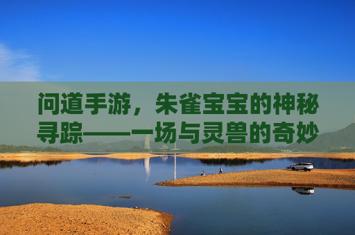 问道手游，朱雀宝宝的神秘寻踪——一场与灵兽的奇妙邂逅，问道手游，朱雀宝宝的神秘寻踪——一场与灵兽的奇妙邂逅