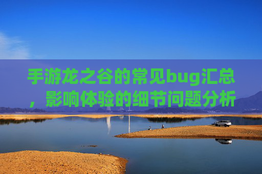 手游龙之谷的常见bug汇总，影响体验的细节问题分析与应对策略，手游龙之谷常见bug汇总，影响体验的细节问题分析与应对策略