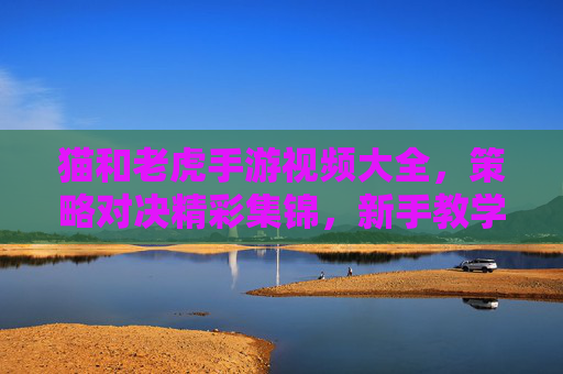 猫和老虎手游视频大全，策略对决精彩集锦，新手教学与高手技巧视频合集，猫和老虎手游视频大全，策略对决精彩集锦，新手教学与高手技巧视频合集