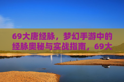 69大唐经脉，梦幻手游中的经脉奥秘与实战指南，69大唐经脉，梦幻手游经脉奥秘与实战指南