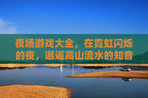 夜场游戏大全，在霓虹闪烁的夜，邂逅高山流水的知音之旅