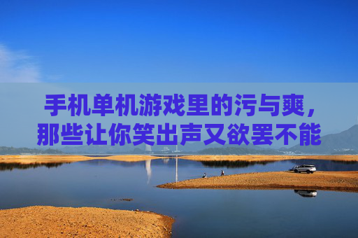 手机单机游戏里的污与爽,那些让你笑出声又欲罢不能的小污游戏