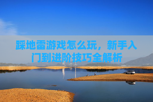 踩地雷游戏怎么玩,新手入门到进阶技巧全解析