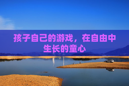 孩子自己的游戏,在自由中生长的童心