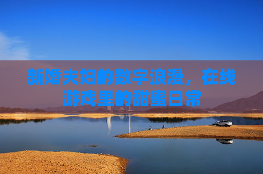 新婚夫妇的数字浪漫,在线游戏里的甜蜜日常