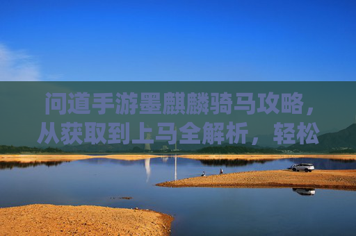 问道手游墨麒麟骑马攻略，从获取到上马全解析，轻松驾驭神兽驰骋仙途，问道手游墨麒麟骑马攻略，从获取到上马全解析，轻松驾驭神兽驰骋仙途