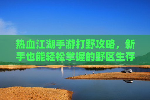热血江湖手游打野攻略,新手也能轻松掌握的野区生存与收益技巧,热血江湖手游打野攻略,新手野区生存与收益技巧全解析