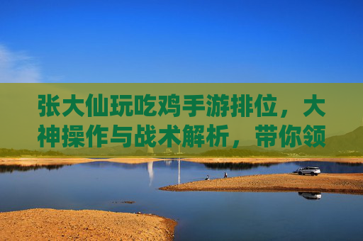 张大仙玩吃鸡手游排位，大神操作与战术解析，带你领略巅峰竞技魅力，张大仙玩吃鸡手游排位，大神操作与战术解析，巅峰竞技魅力全解析