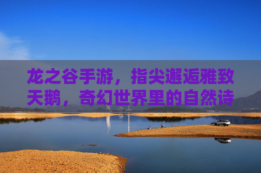龙之谷手游,指尖邂逅雅致天鹅,奇幻世界里的自然诗篇